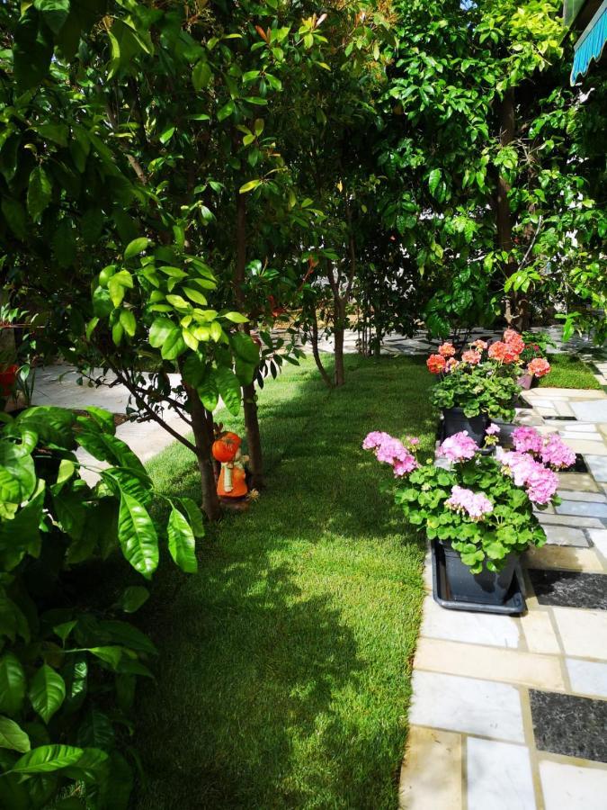 Meje Apartments Split Dış mekan fotoğraf