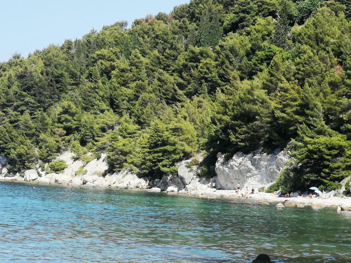 Meje Apartments Split Dış mekan fotoğraf