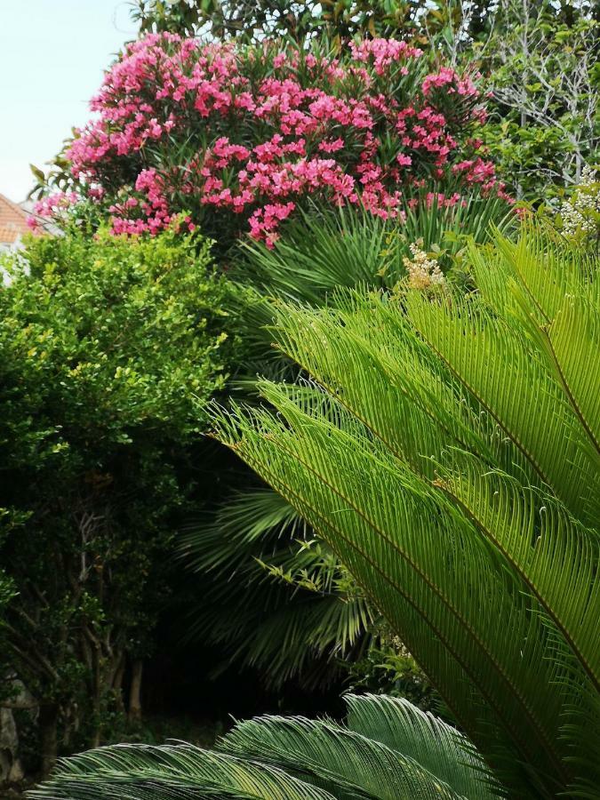 Meje Apartments Split Dış mekan fotoğraf